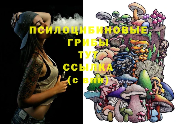ГАЛЛЮЦИНОГЕННЫЕ ГРИБЫ Алзамай